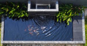 Patio design ideas - koi pond.